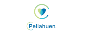 Oficina Insider: pellahuen